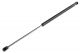 ΑΜΟΡΤΙΣΕΡ ΠΟΡΤ ΜΠΑΓΚΑΖ ΓΙΑ CITROEN C1 / PEUGEOT 107 / TOYOTA AYGO 2005-2014 600mm/440N orig.55137022AB