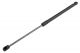 ΑΜΟΡΤΙΣΕΡ ΠΟΡΤ ΜΠΑΓΚΑΖ ΓΙΑ MERCEDES A W169 2004-2012 458mm/430N orig.1697400045