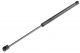 ΑΜΟΡΤΙΣΕΡ ΠΟΡΤ ΜΠΑΓΚΑΖ ΓΙΑ VW POLO 1994-2001 515mm/610N orig.6N0827550A